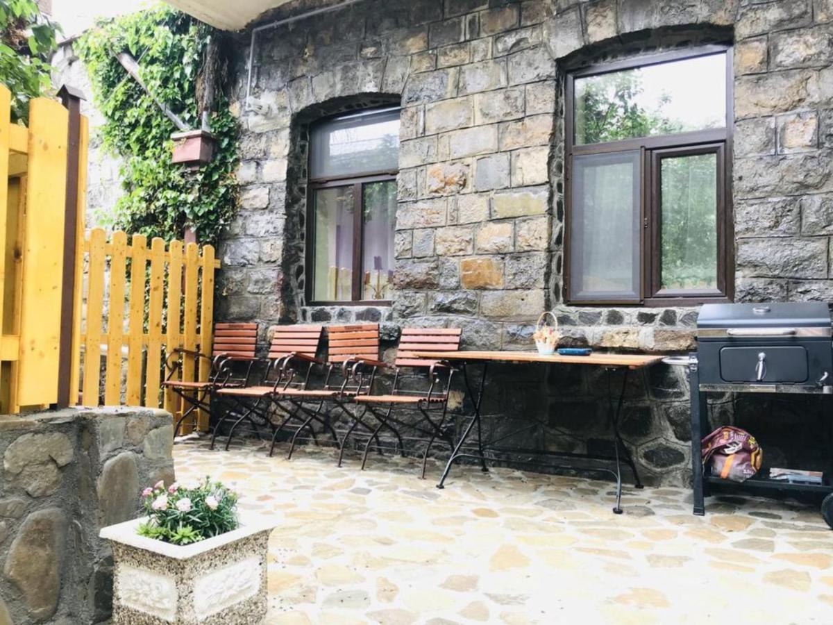 Apartment Carol Private Yard With Barbeque And Parking シナヤ エクステリア 写真