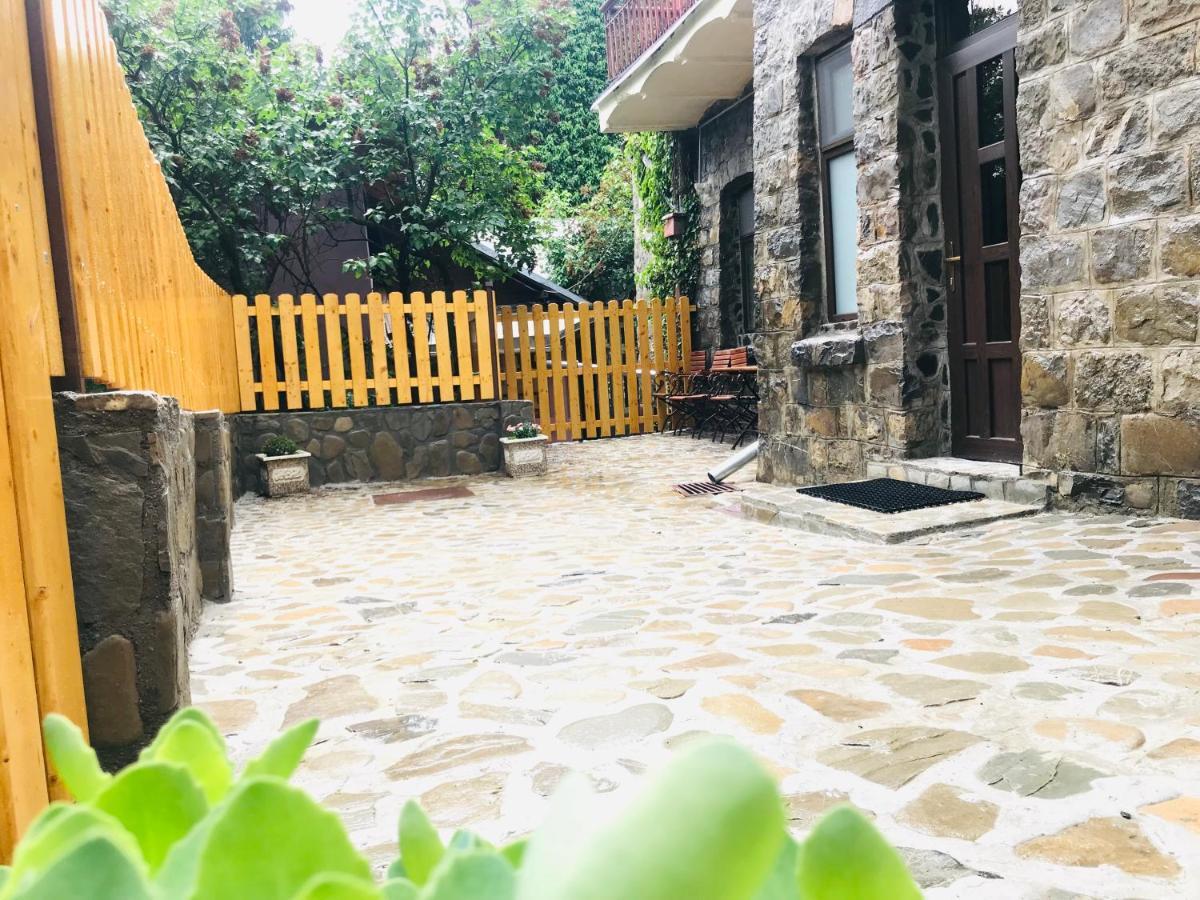 Apartment Carol Private Yard With Barbeque And Parking シナヤ エクステリア 写真